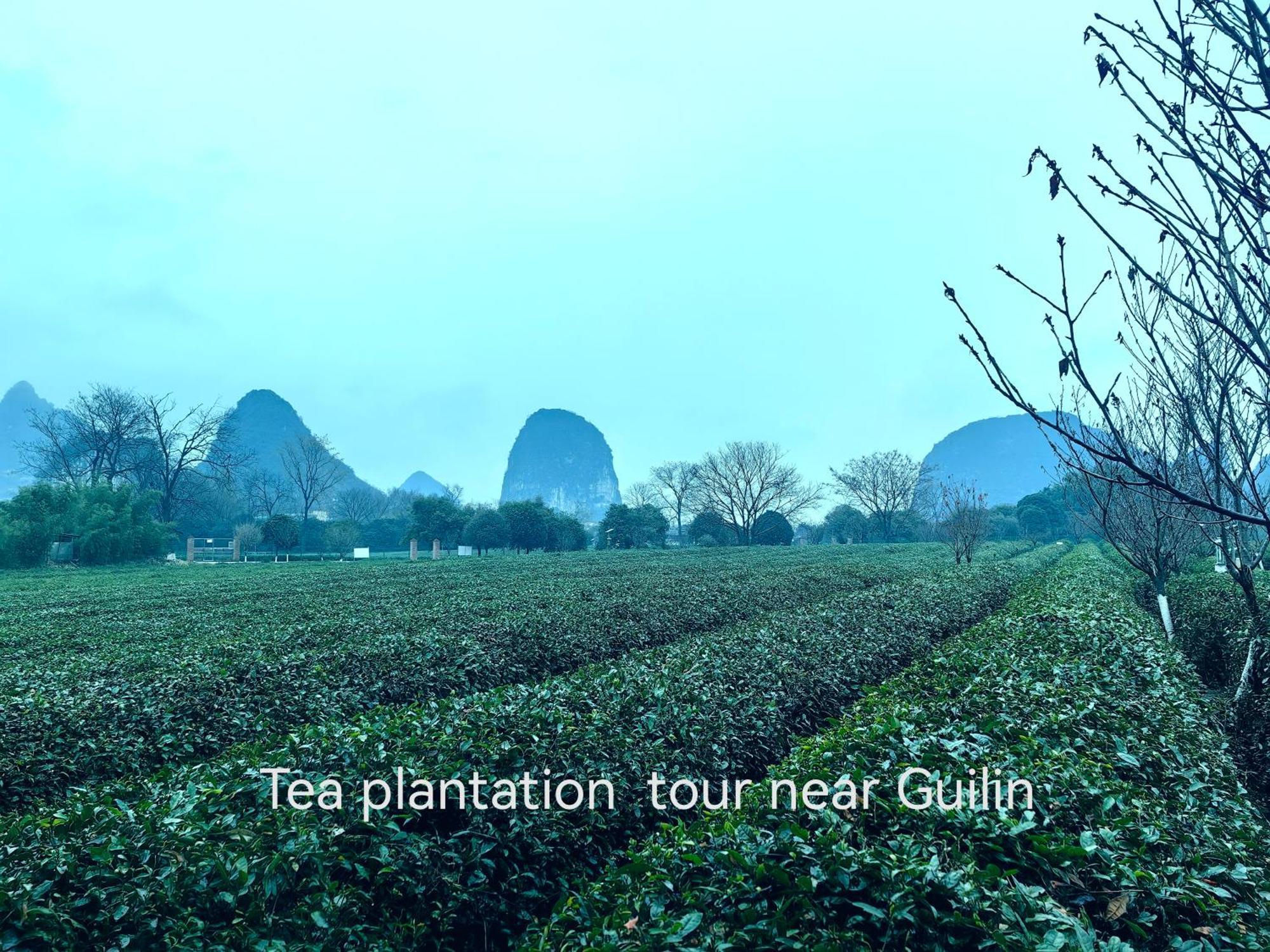 Guilin Village Creek Inn-Free Private Car Pick Up Station Stay 3 Nights Zewnętrze zdjęcie