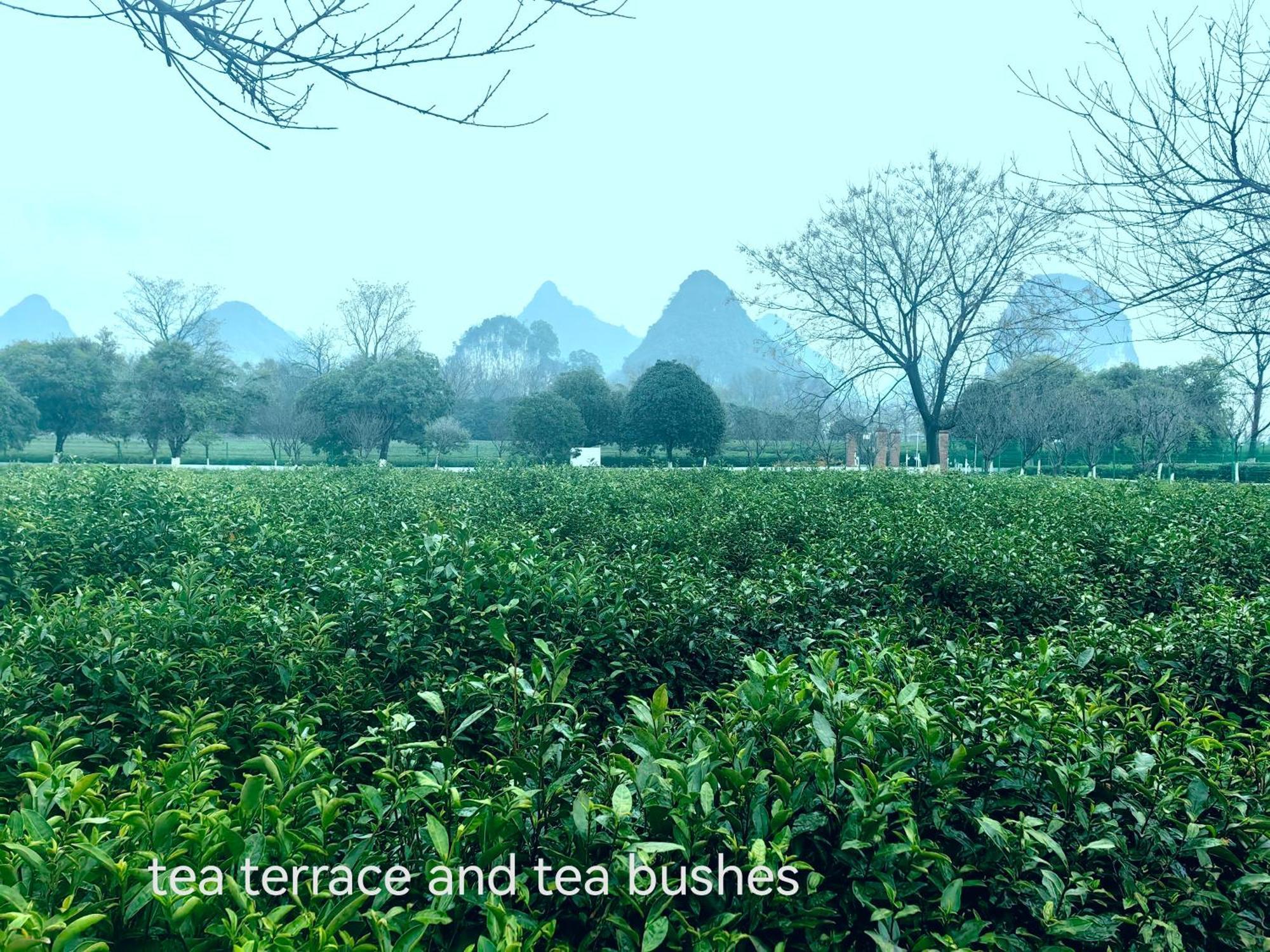 Guilin Village Creek Inn-Free Private Car Pick Up Station Stay 3 Nights Zewnętrze zdjęcie